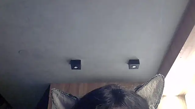 Skinny-Kitten online show from February 4, 11:53 pm