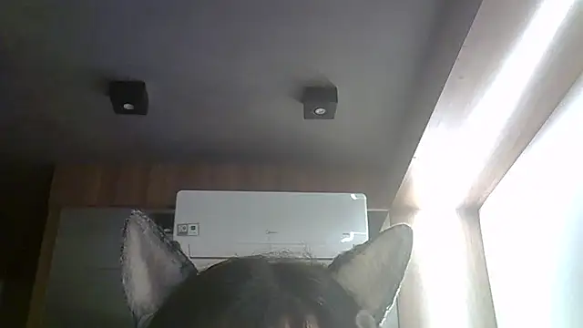 Skinny-Kitten online show from March 27, 8:37 am